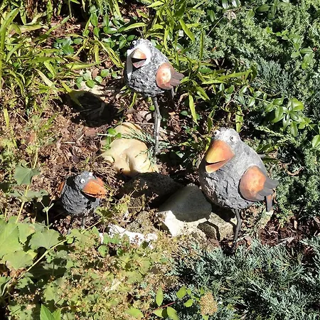 게스트하우스 Dreilaenderblick