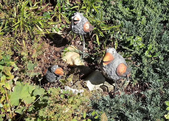 Gæstehus Dreilaenderblick